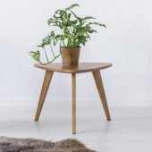 chair-table-plant-and-fur-P2ERV4Z-scaled.jpg